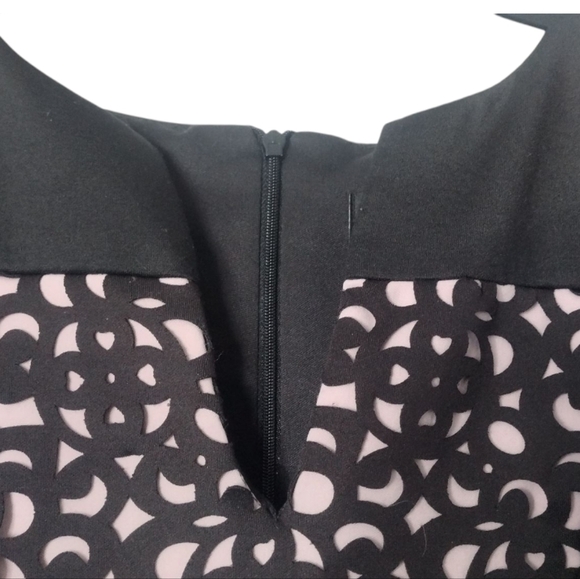 Connected Apparel Black And Pink. Dress - Picture 3 of 6